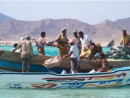 ضبط مهربات خطيرة على ساحل باب المندب بتعز